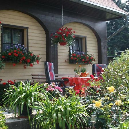 Ferienwohnung Hesse Am Wachberg Saupsdorf Exteriör bild