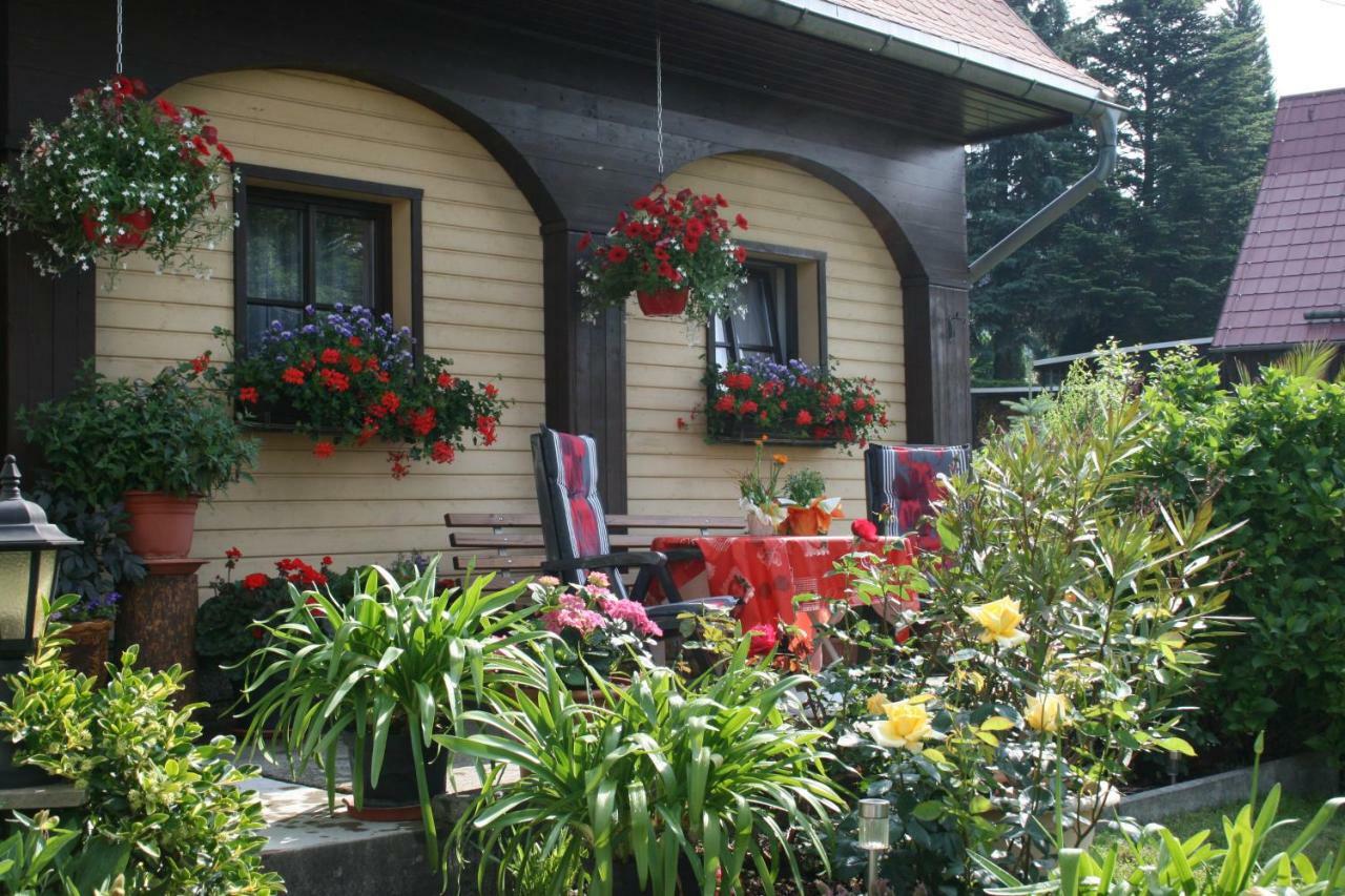Ferienwohnung Hesse Am Wachberg Saupsdorf Exteriör bild
